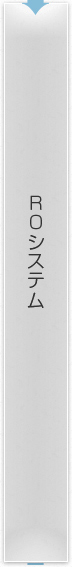 ROシステム