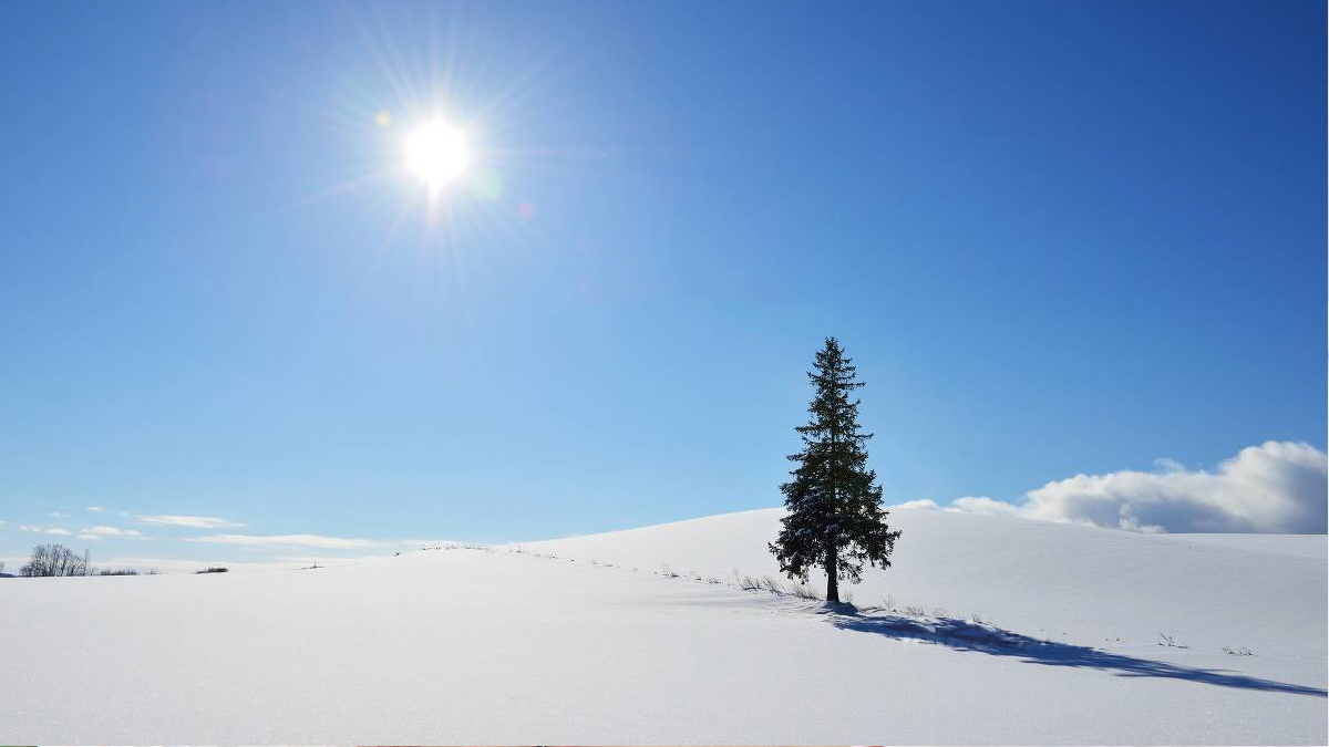 雪