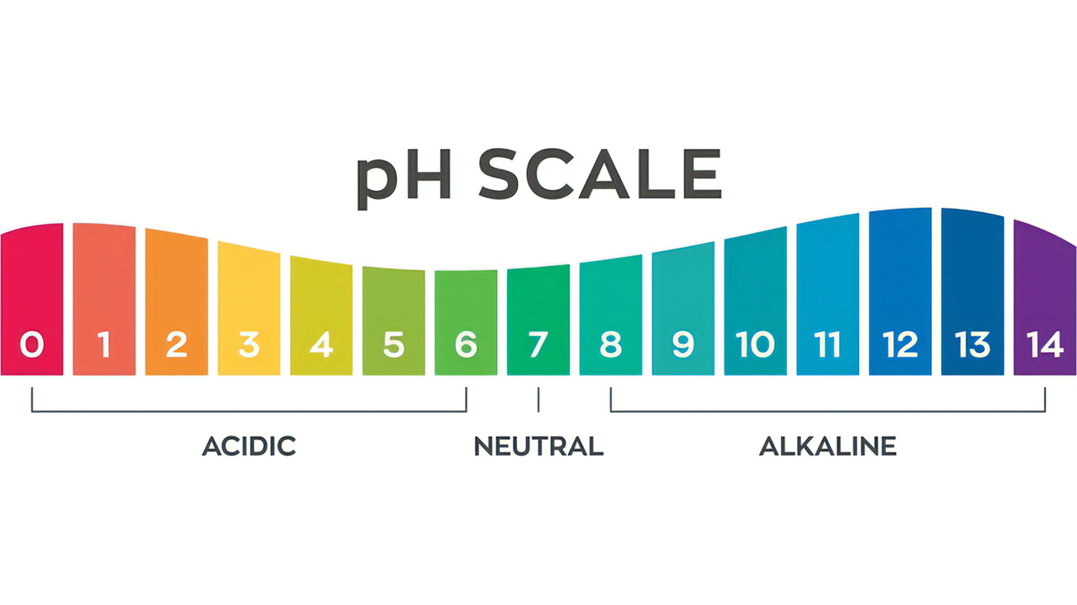 pH（ペーハー）