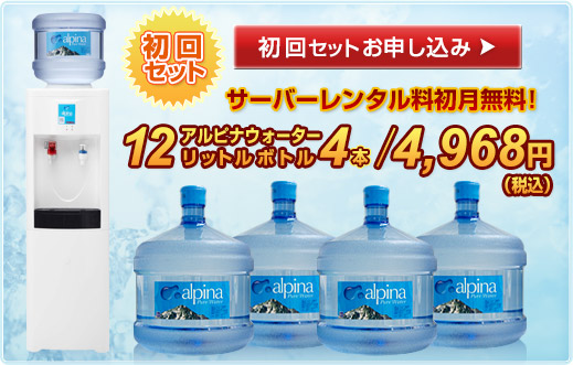 初回セット　サーバーレンタル料初月無料！　初回セットお申し込み